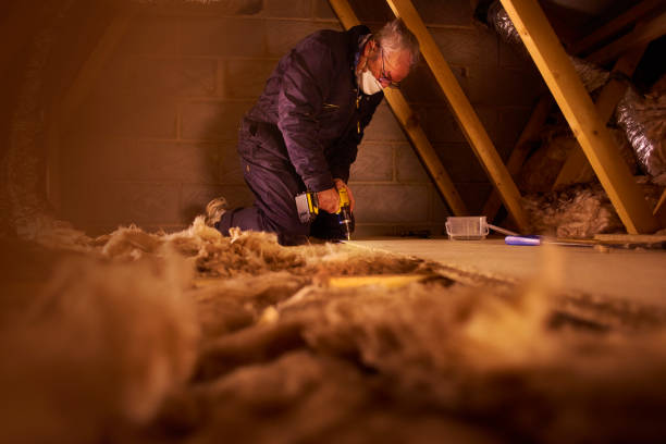 Types of Insulation We Offer in Panthersville, GA